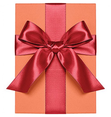 Double Face Satin Ribbon, Red, Waste Not Paper